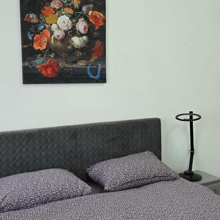 Casa Grande Daire Făgăraş Dış mekan fotoğraf