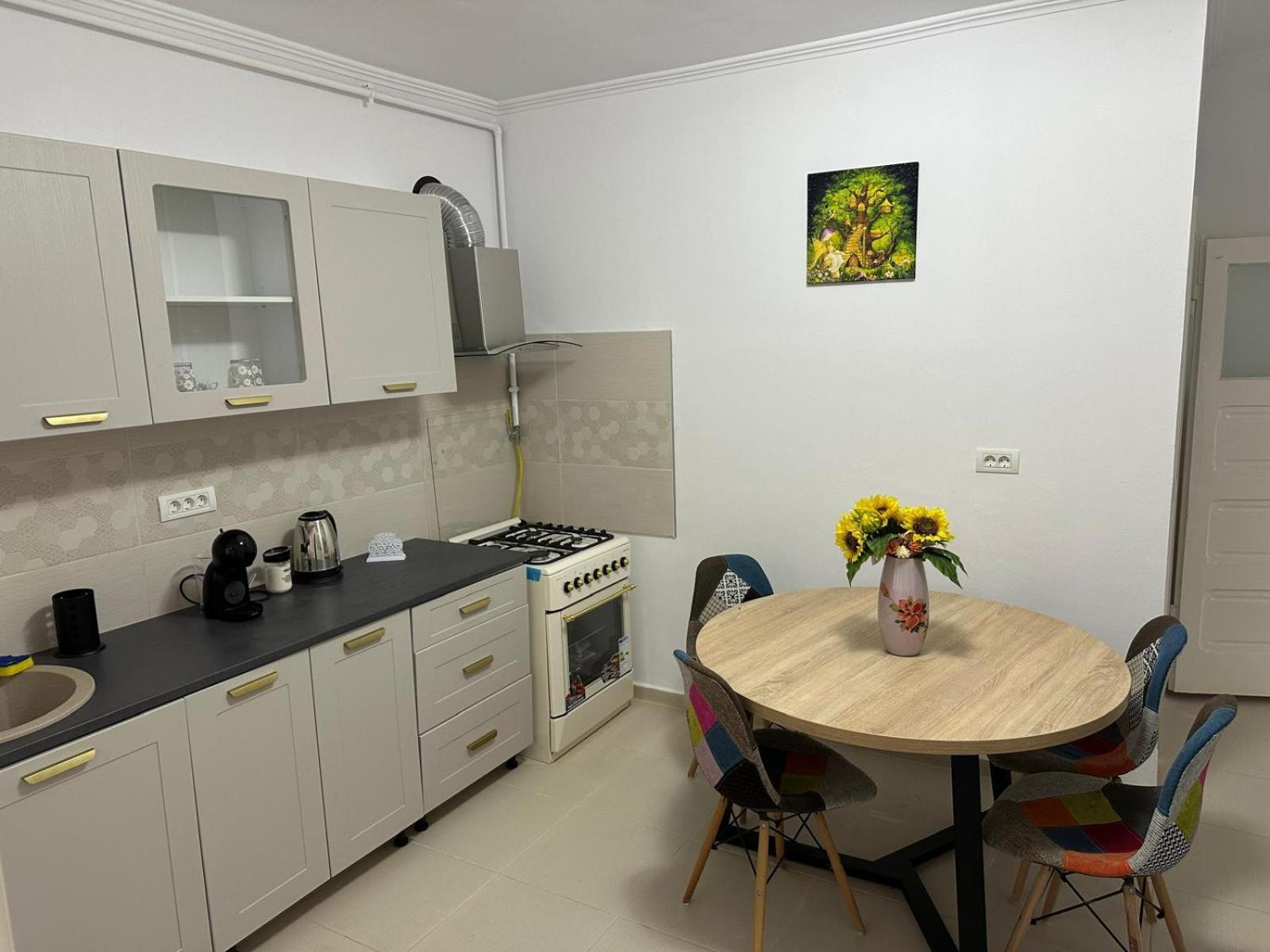 Casa Grande Daire Făgăraş Dış mekan fotoğraf
